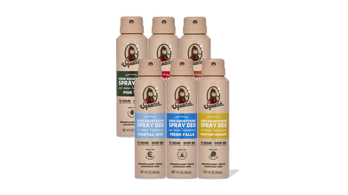 Lot de 6 déodorants en spray