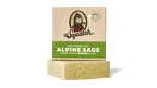 Sauge alpine