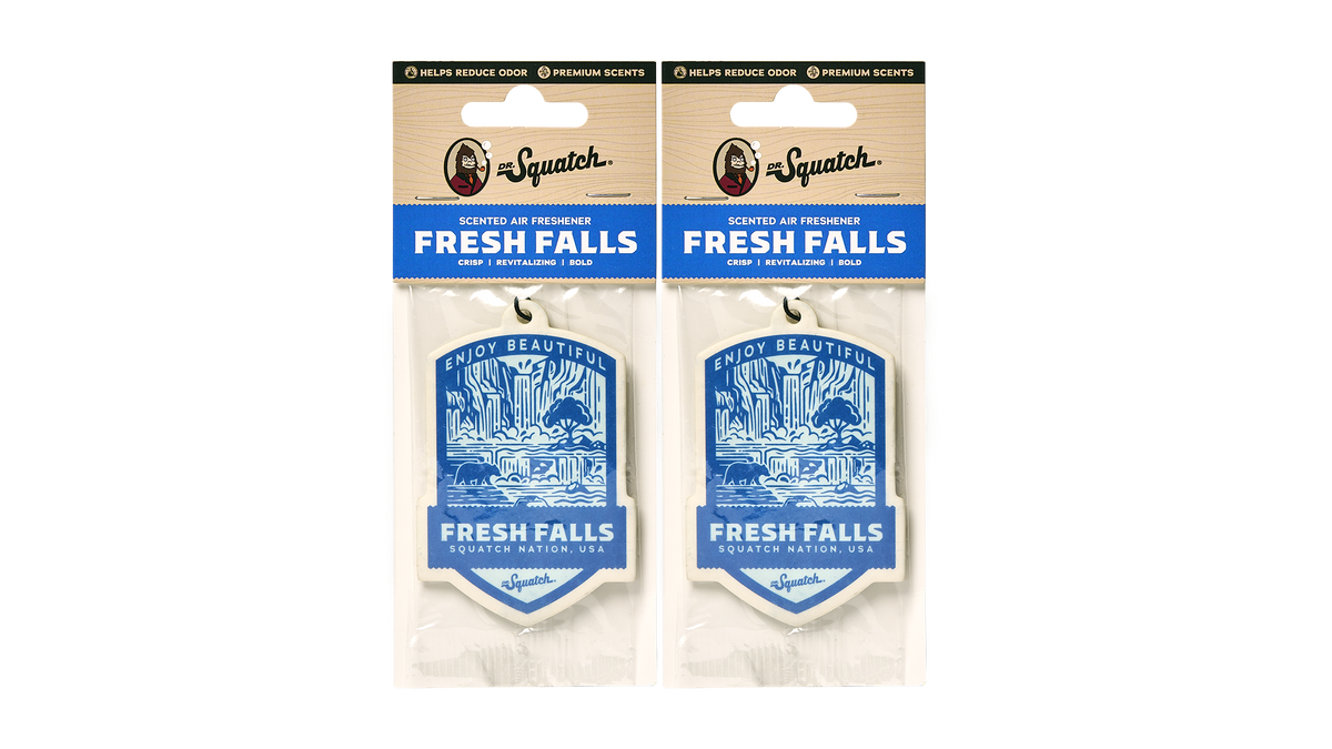 Désodorisant auto Fresh Falls, lot de 2