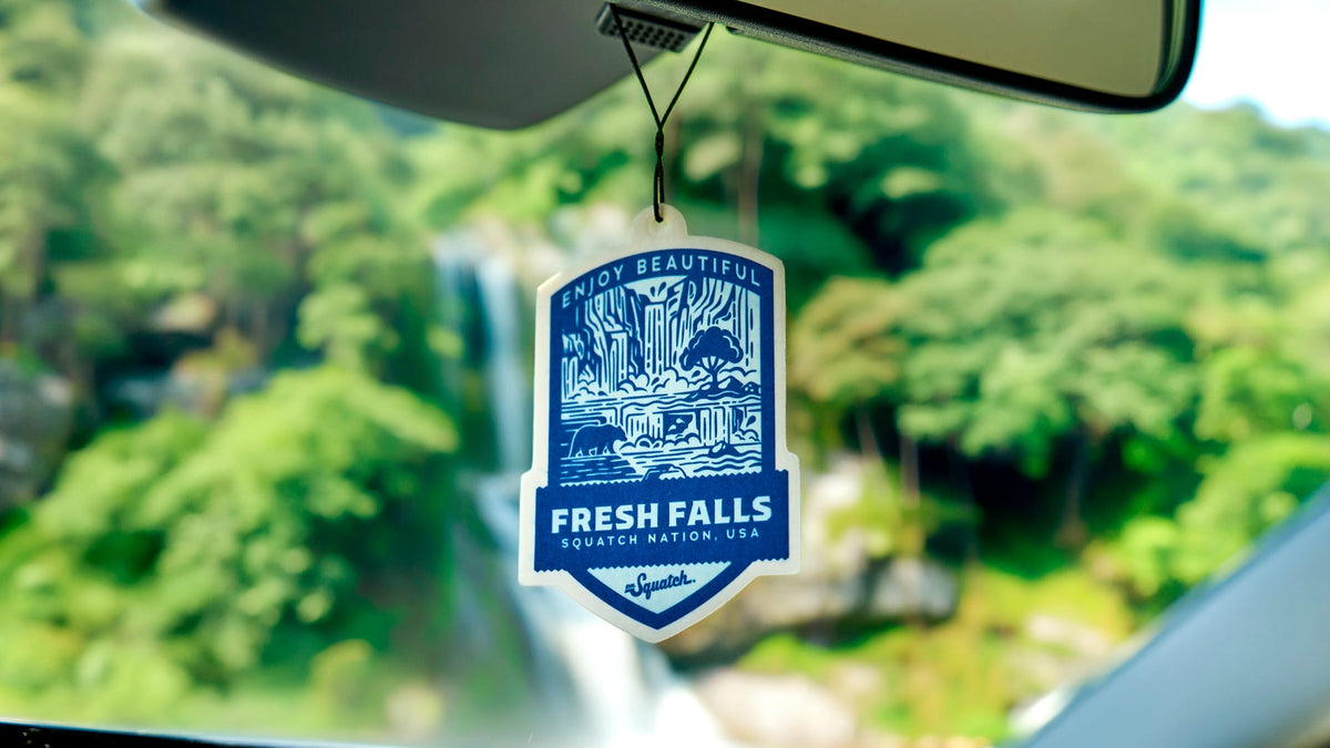Désodorisant auto Fresh Falls, lot de 2
