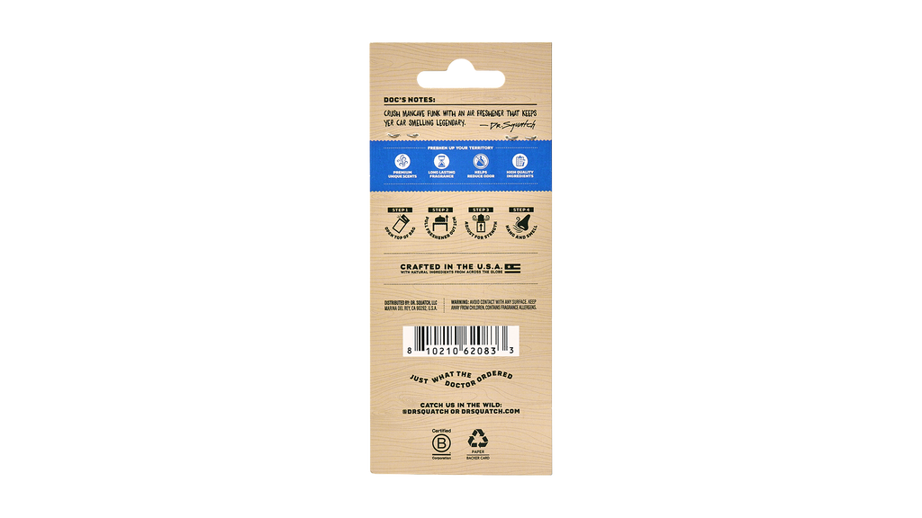 Désodorisant auto Fresh Falls, lot de 2