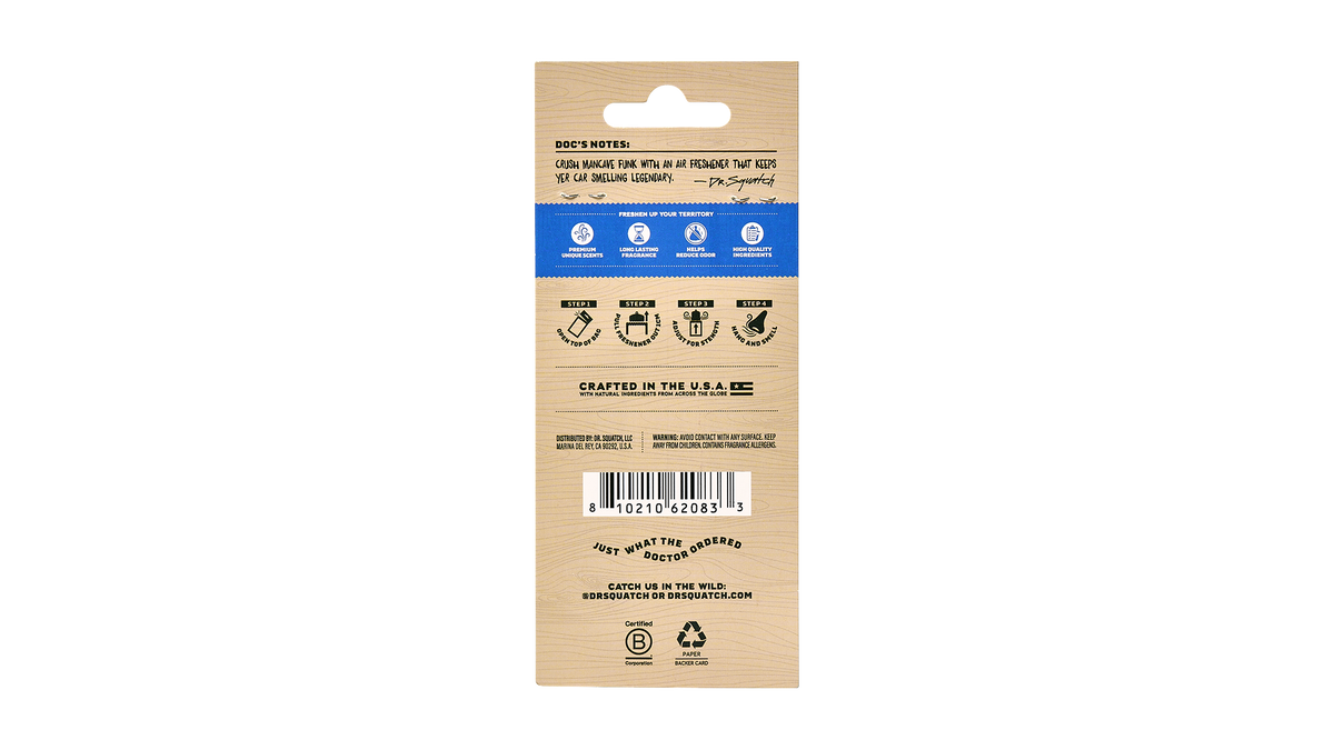 Désodorisant auto Fresh Falls, lot de 2