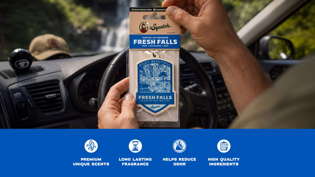 Désodorisant auto Fresh Falls, lot de 2