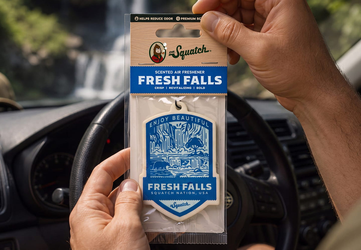 Désodorisant auto Fresh Falls, lot de 2