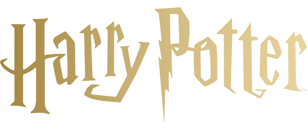Pack de 6 Harry Potter