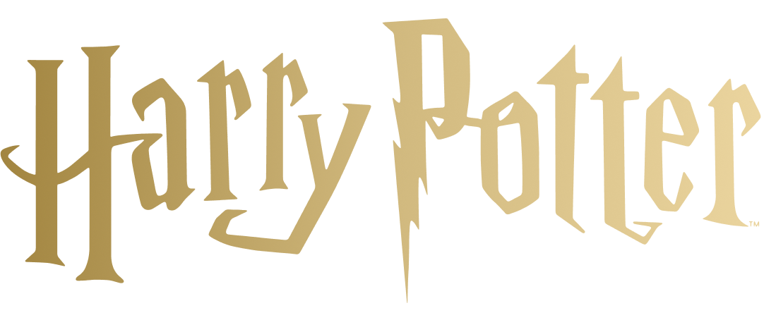 Pack de 6 Harry Potter