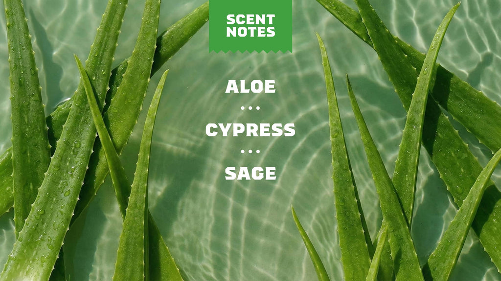 Déodorant Fraîcheur Aloès