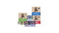 Pack familial Squatch